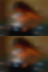 Black cock personal